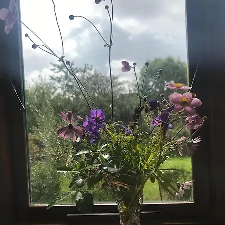 Tranquil Water Bed & Breakfast Midleton